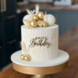 whatsapp image 2026 01 26 at 9.50.04 pm